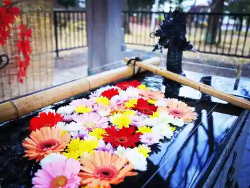 美幌神社の手水舎