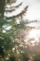 美幌神社(北海道)