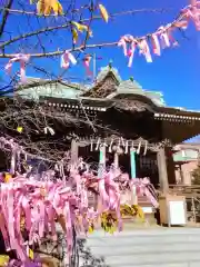 桜神宮(東京都)