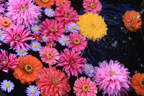 大鏑神社の手水舎