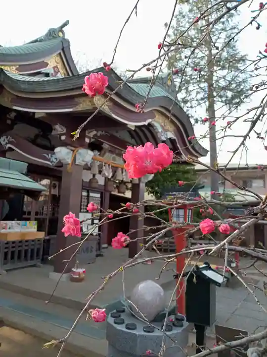 川越八幡宮の自然