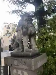 今戸神社の狛犬