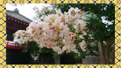 大蔵院(群馬県)