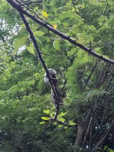 音無神社(静岡県)