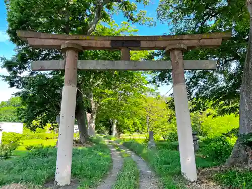 玉依比売命神社の鳥居