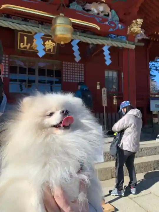 武蔵御嶽神社(東京都)
