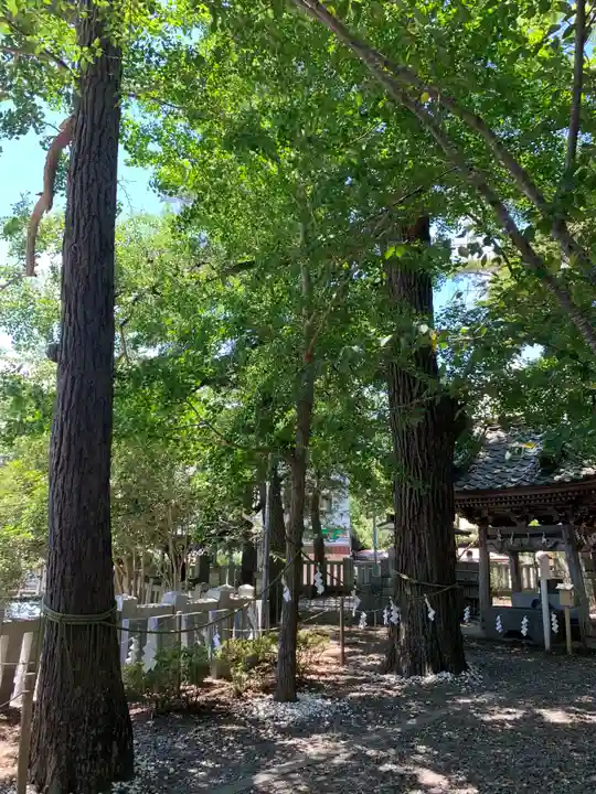 玉前神社のその他建物