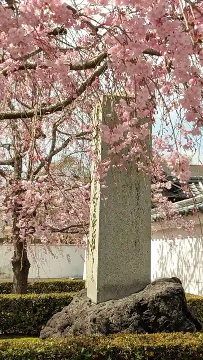 妙顯寺(妙顕寺)の自然