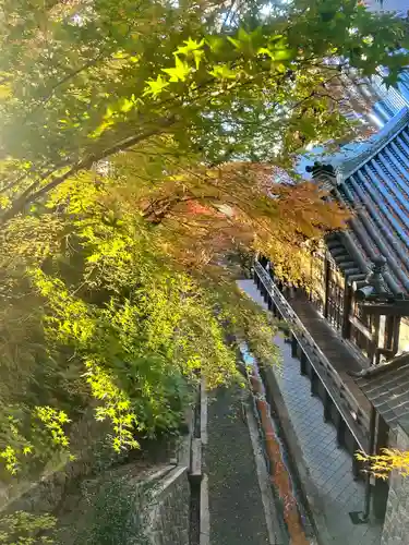 禅林寺（永観堂）(京都府)