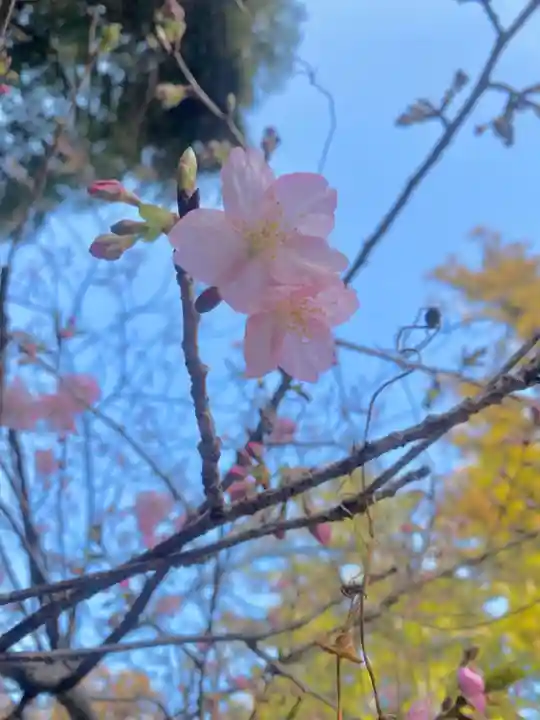 矢奈比賣神社(見付天神)(静岡県)