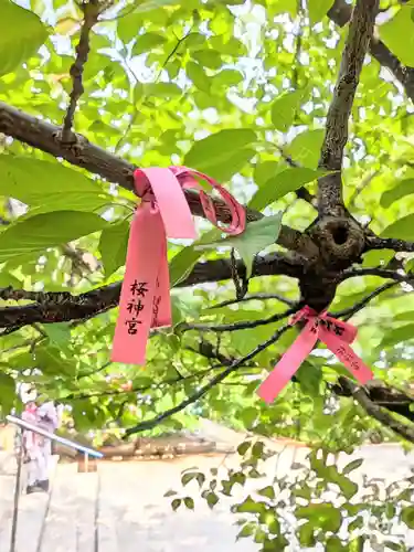 桜神宮(東京都)