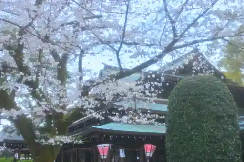 三嶋大社(静岡県)