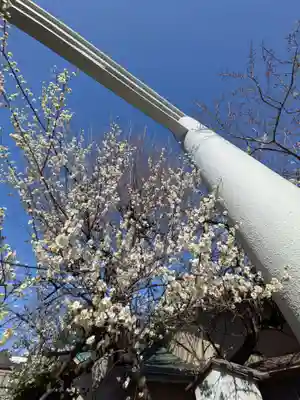 新宿下落合氷川神社(東京都)