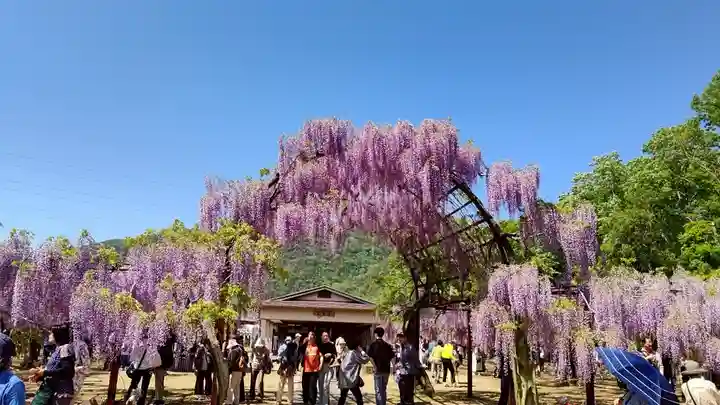 和氣神社(和気神社)(岡山県)