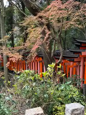 伏見稲荷大社(京都府)
