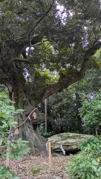 新日吉神宮(京都府)