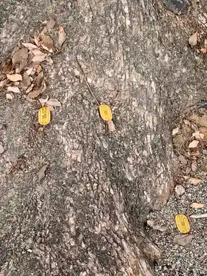 和泉國一之宮　大鳥大社(大阪府)