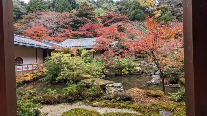 実相院門跡(京都府)