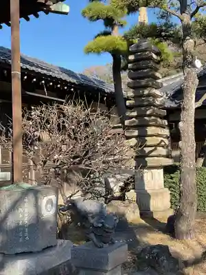 染王寺(神奈川県)
