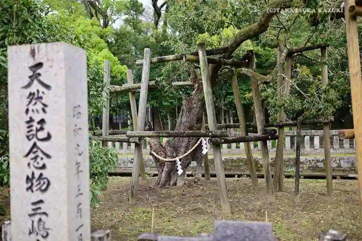 三嶋大社のその他建物