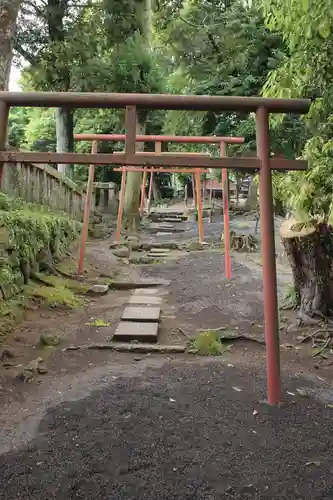 鹿児島神宮の鳥居