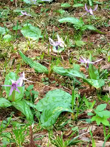 観音寺(福島県)