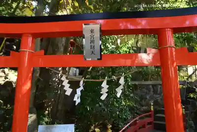 來宮神社(静岡県)