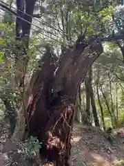 西明寺(栃木県)