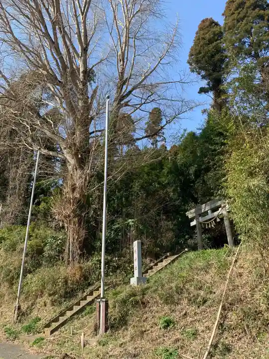 大椎八幡神社(千葉県)