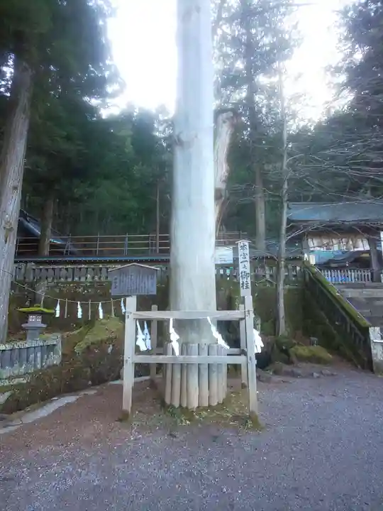 諏訪大社の自然