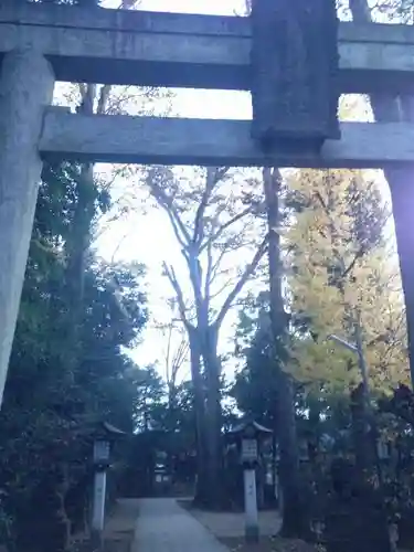 荻窪八幡神社の鳥居