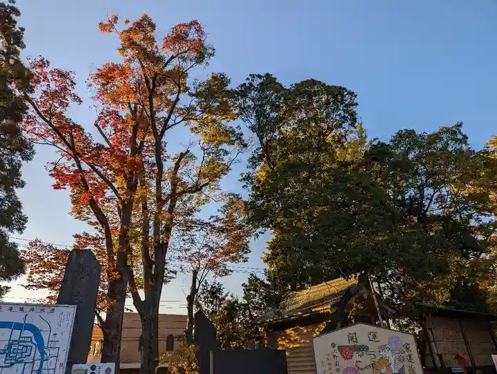 上野総社神社(群馬県)