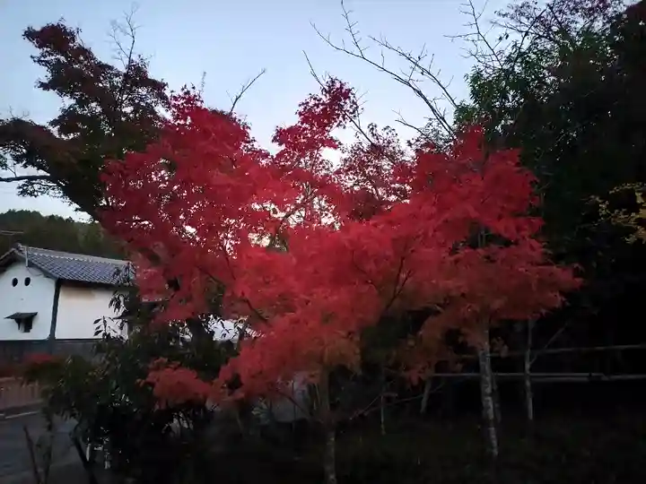 鍬山神社(京都府)
