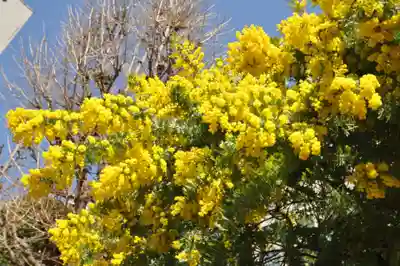 蔵前神社(東京都)