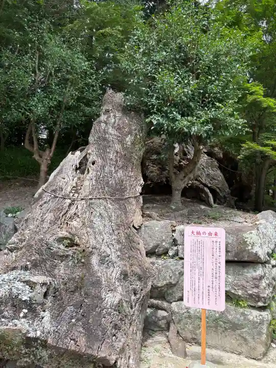 與止日女神社(佐賀県)