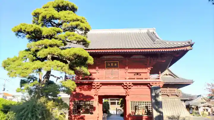 徳願寺(千葉県)