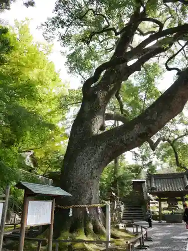 事任八幡宮の建物その他