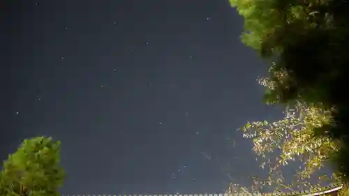 くろ谷 金戒光明寺の自然