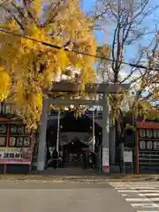 波除神社（波除稲荷神社）の鳥居