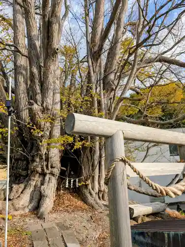 黄金龍神社（桂不動）(北海道)