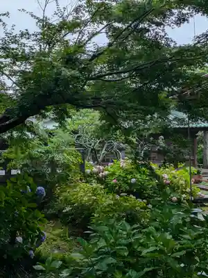 英勝寺(神奈川県)