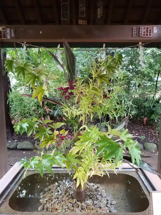 赤坂氷川神社の手水舎