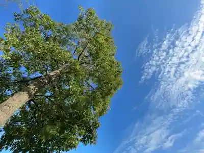 鞆江神社（明地）(愛知県)