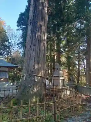 戸隠神社中社(長野県)