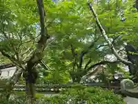 宝性院(石山寺寺務所)(滋賀県)