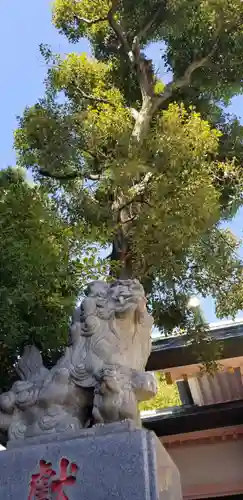 上平井天祖神社の狛犬