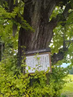 天王寺(福島県)