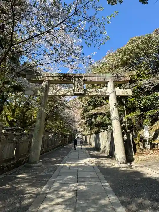 金刀比羅宮の{uncategorized: "未分類", other: "その他", undefined: "問題あり", building: "その他建物", grave: "お墓", sacred_gate: "鳥居", guardian: "狛犬", statue: "像", buddha: "仏像", history: "歴史", nature: "自然", garden: "庭園", animal: "動物", pagoda: "塔", temizu: "手水舎", mountain_gate: "山門・神門", sanctuary: "本殿・本堂", subordinate: "末社・摂社", art: "芸術", scenery: "景色", jizo: "地蔵", ema: "絵馬", goshuin: "御朱印", omikuji: "おみくじ", items: "授与品その他", amulet: "お守り", goshuincho: "御朱印帳", eats: "食事", festival: "お祭り", votive_dance: "神楽", shichigosan: "七五三参", wedding: "結婚式", experience: "体験その他", initially: "初詣", around: "周辺", anti_infection: "感染症対策"}