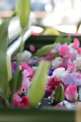 草加神社(埼玉県)