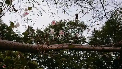 櫻木神社のその他建物